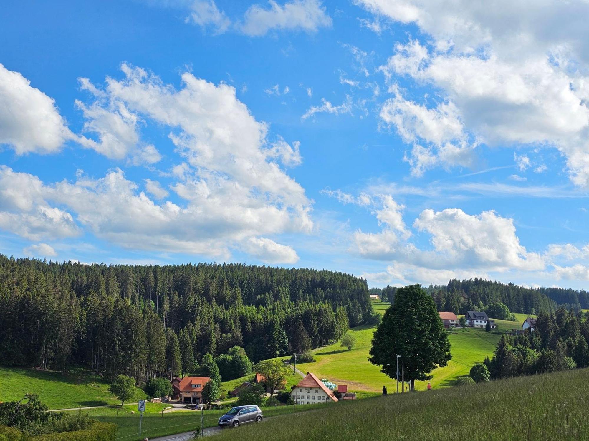 Miuti Residence Triberg im Schwarzwald Exterior foto